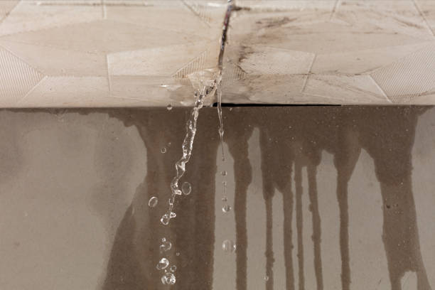 Professional Water Extraction technician working in Lone Oak, TX